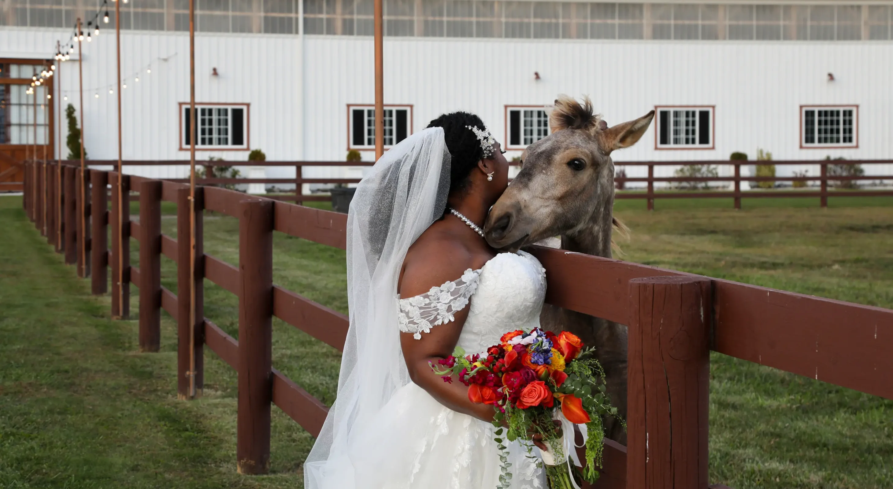 Bride petting an Andalusian horse in the barn